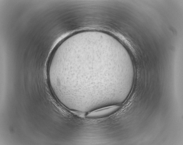 X0000115531230200912040943