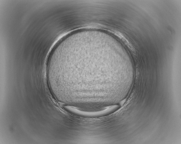 X0000115531232200912040943