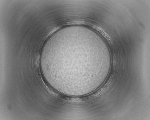 X0000115531233200912040943