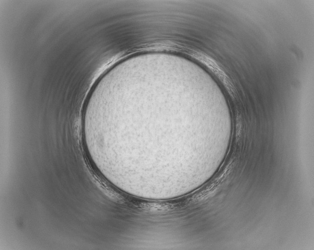 X0000115531234200912040943