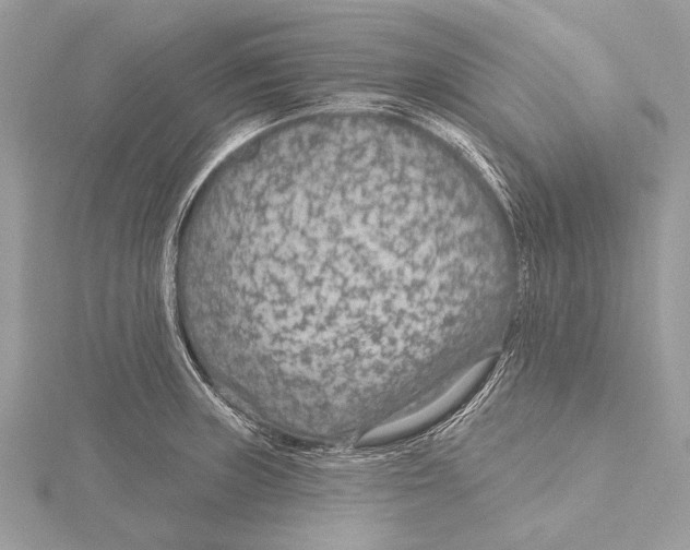 X0000115531235200912040943