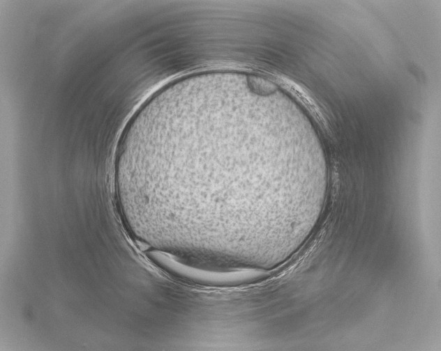 X0000115531236200912040943