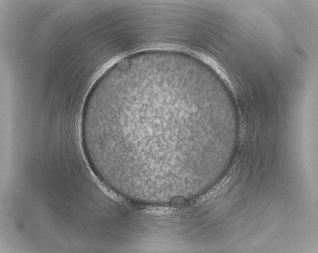 X0000115531237200912040943