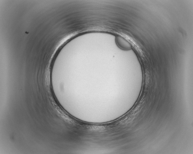 X0000115531238200912040943