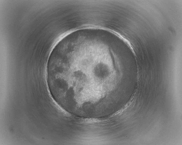 X0000115531239200912040943