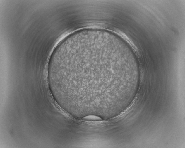 X0000115531240200912040943