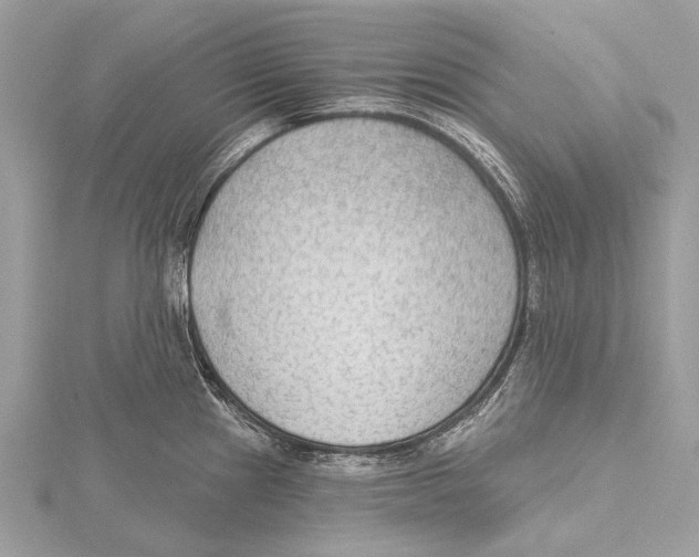 X0000115531241200912040943