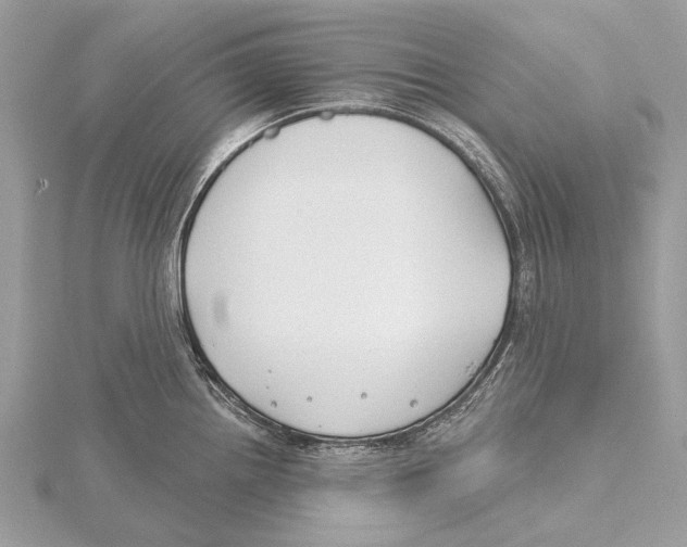 X0000115531242200912040943