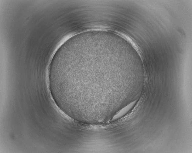 X0000115531243200912040943