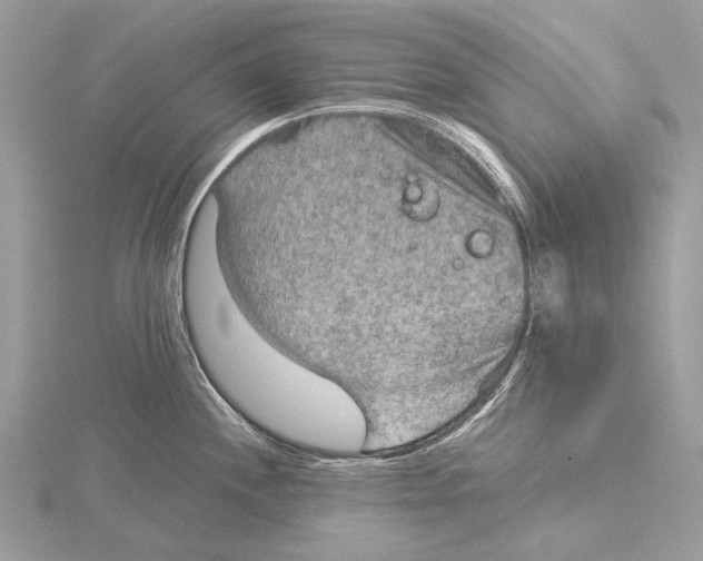 X0000115531244200912040943