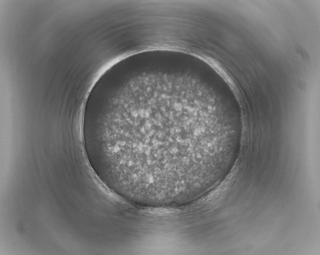 X0000115531246200912040943