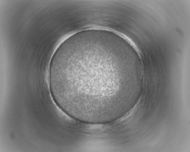 X0000115531247200912040943