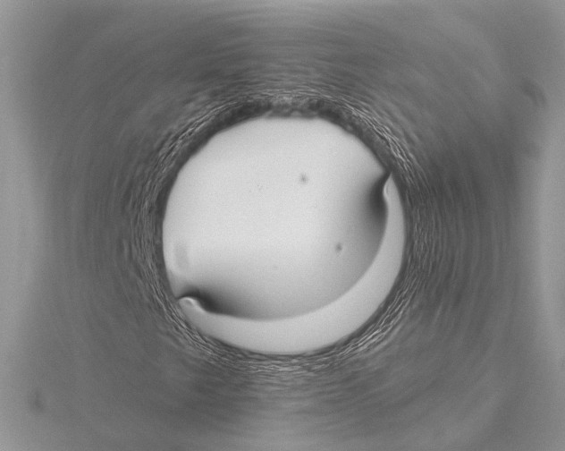 X0000115531249200912040942