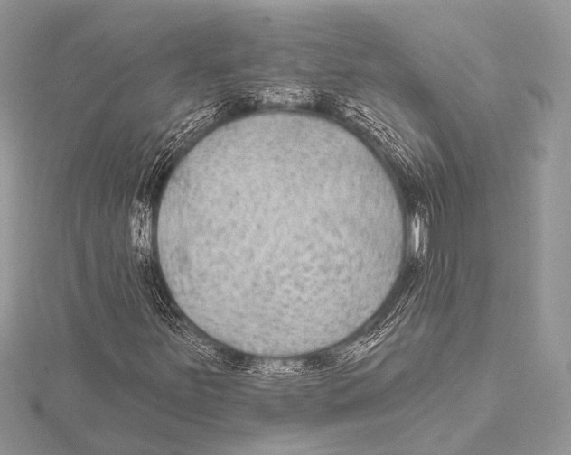 X0000115531251200912040942