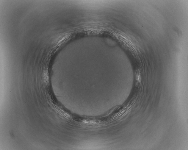 X0000115531252200912040942