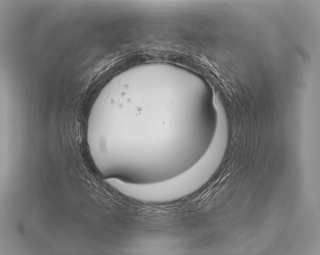 X0000115531253200912040942