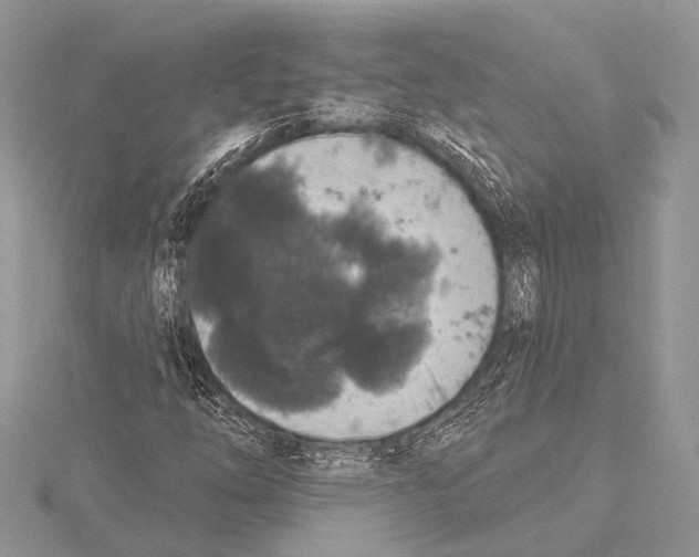 X0000115531254200912040942