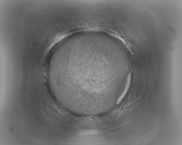 X0000115531255200912040942