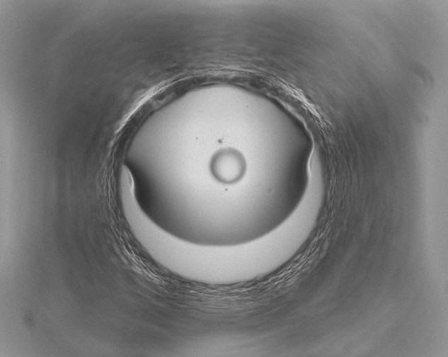 X0000115531256200912040942