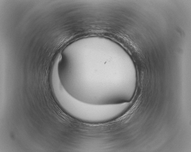 X0000115531257200912040942