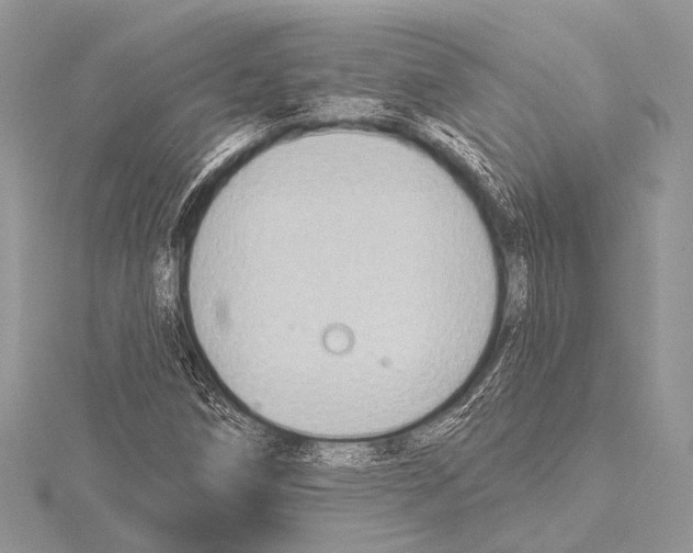 X0000115531258200912040942