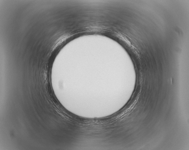 X0000115531259200912040942