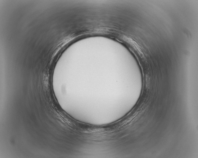 X0000115531260200912040942