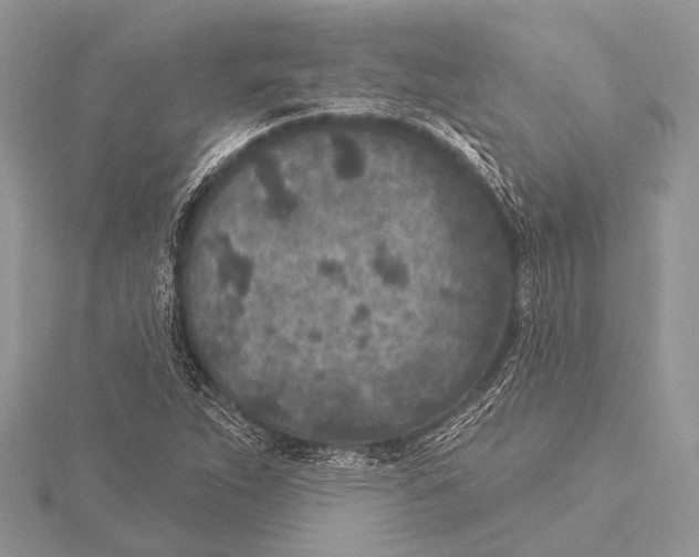 X0000115531263200912040942