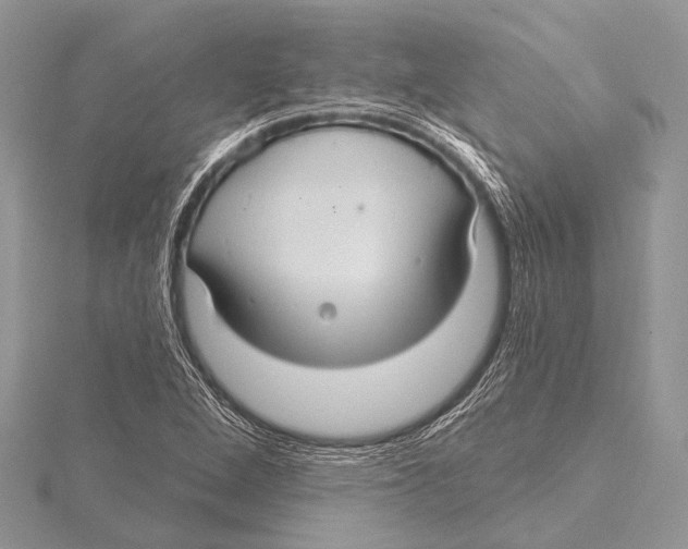 X0000115531264200912040942