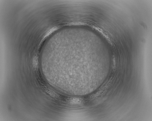 X0000115531266200912040942