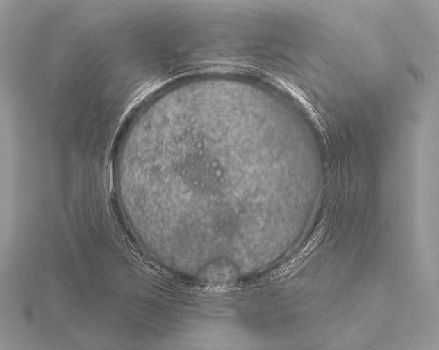 X0000115531267200912040942