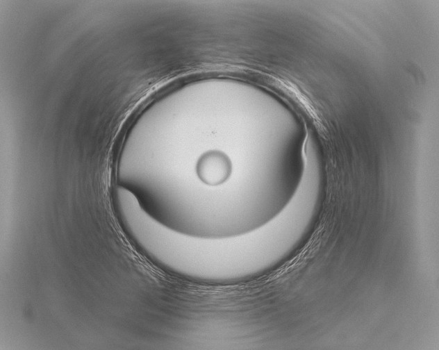 X0000115531268200912040942