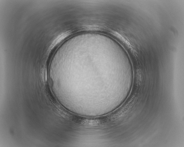 X0000115531269200912040942