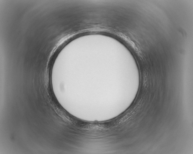 X0000115531270200912040942