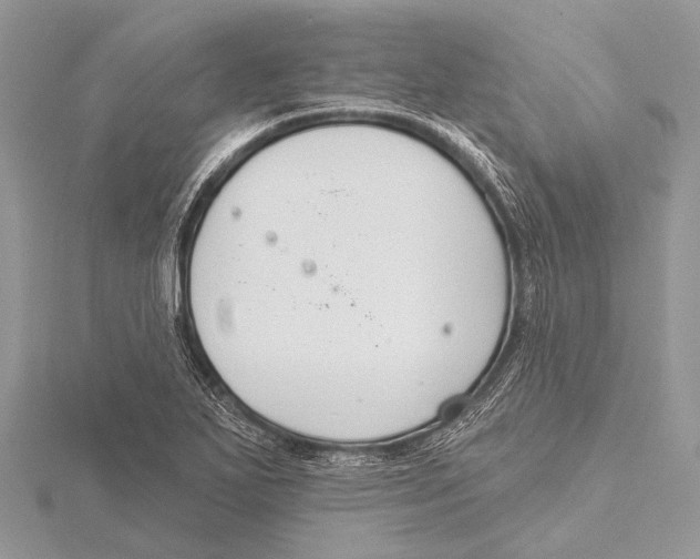 X0000115531271200912040942