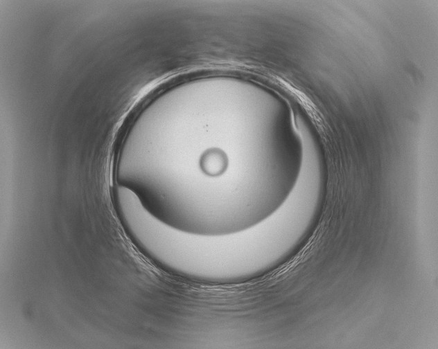 X0000115531272200912040942