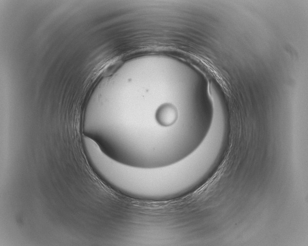 X0000115531273200912040942