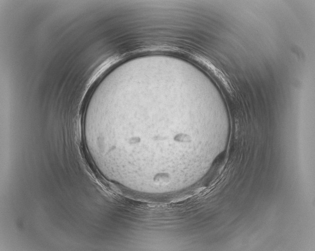 X0000115531274200912040942