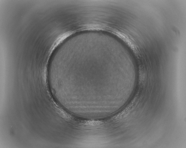 X0000115531277200912040942