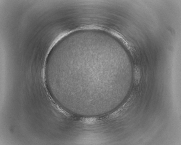 X0000115531278200912040942