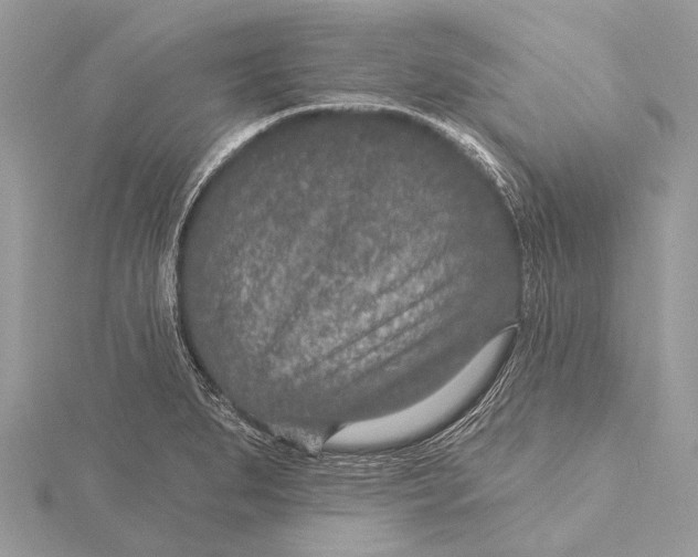 X0000115531279200912040942