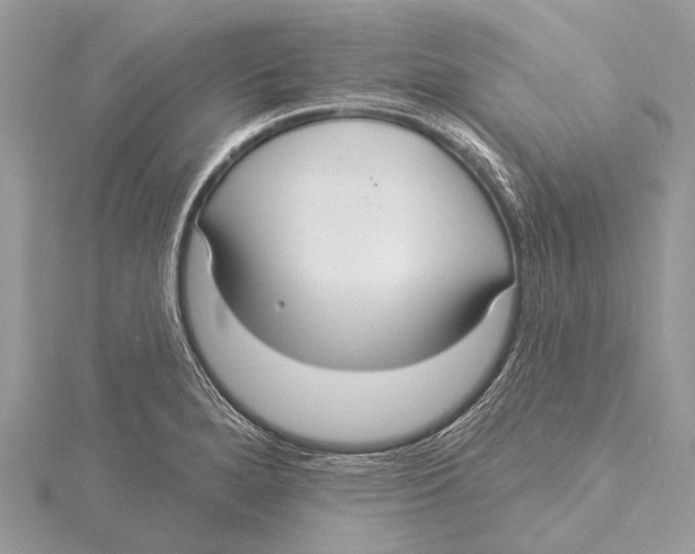 X0000115531280200912040942