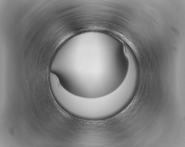 X0000115531281200912040942