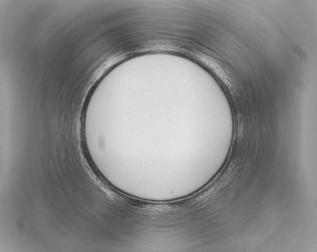 X0000115531282200912040942