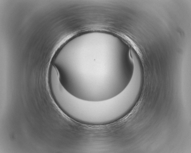 X0000115531285200912040942