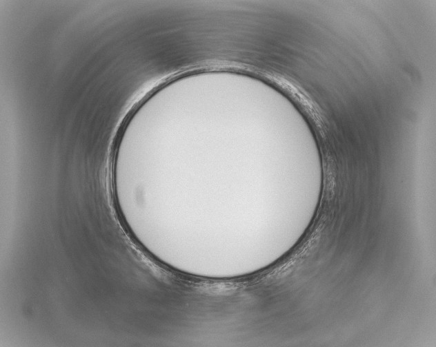 X0000115531286200912040942