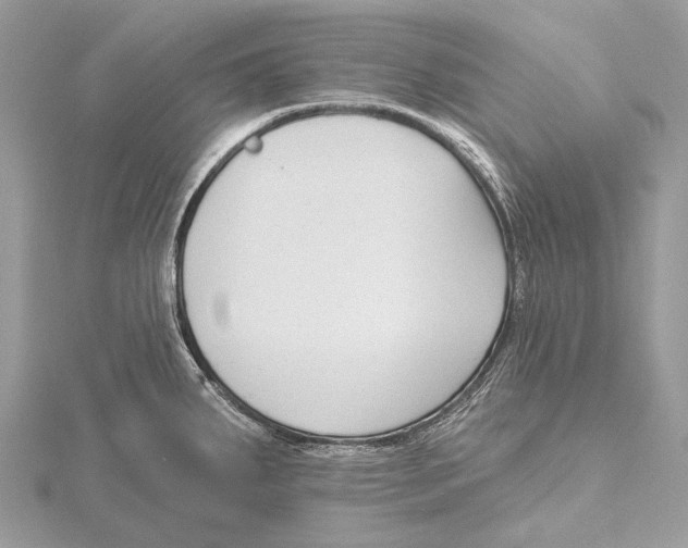 X0000115531287200912040942