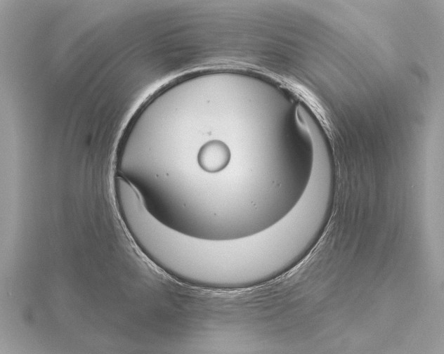 X0000115531288200912040942