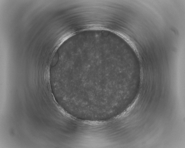 X0000115531289200912040942