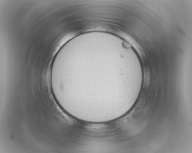 X0000115531290200912040942